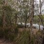 Tyagarah Nature Reserve