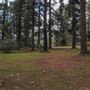 Jenolan State Forest
