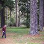 Jenolan State Forest