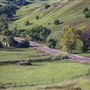 Taralga countryside