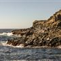 Bombo Headland Quarry