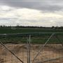 East Tamworth