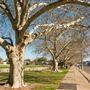 Tamworth