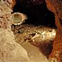 Wellington Caves Complex