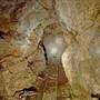 Wellington Caves Complex