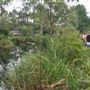 The Australian Reptile Park