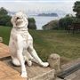 Strickland House - Sydney Harbour National Park