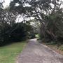 Nielsen Park
