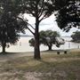 Nielsen Park