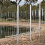 Sydney International Regatta Centre