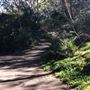 Trumper Park