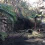Trumper Park