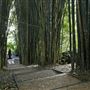 Crystal Castle - Bamboo Avenue