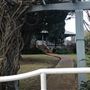 Milton Houses