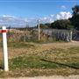 Gerroa