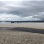 Hyams Beach - Jervis Bay