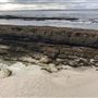 Hyams Beach - Jervis Bay