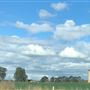 Bolong Farms
