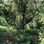 Otford Farm - Paintball Property