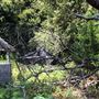 Otford Farm - Paintball Property