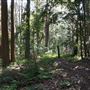 Otford Farm - Paintball Property
