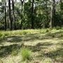 Otford Farm - Jungle Set Build Site