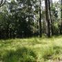 Otford Farm - Jungle Set Build Site
