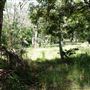 Otford Farm - Jungle Set Build Site