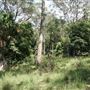 Otford Farm - Jungle Set Build Site