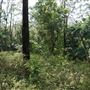 Otford Farm - Jungle Set Build Site