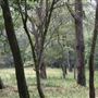 Otford Farm - Jungle Set Build Site