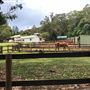 Otford Farm - The Pines Paddock with Jungle Gully