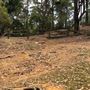 Otford Farm - The Pines Paddock with Jungle Gully