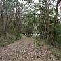 Otford Farm - 40 Acres Paddock