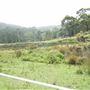 Otford Farm - 40 Acres Paddock