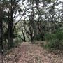 Otford Farm - 40 Acres Paddock