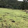 Otford Farm - 40 Acres Paddock