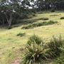 Otford Farm - 40 Acres Paddock