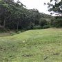 Otford Farm - 40 Acres Paddock