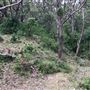 Otford Farm - 40 Acres Paddock