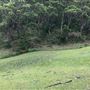Otford Farm - 40 Acres Paddock