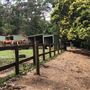 Otford Farm - Horse Farm