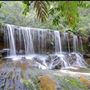 Somersby Falls picnic area - Brisbane Water National Park