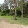 Trial Bay Gaol Campground & Front Beach - Arakoon National Park