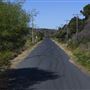 Sir Joseph Banks Drive