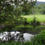 Hidden Creek