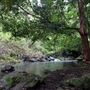Hidden Creek