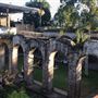 Paddington Reservoir Gardens