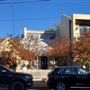 Jersey Road - Woollahra