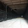 Darling Harbour Railway Tunnel Ultimo aka The Goods Line Tunnel